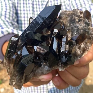 0.75LB Natural Smoky Black Quartz Cluster Crystal Specimen Healing - Picture 1 of 7
