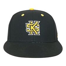 Kennesaw State Owls NCAA adidas Men's Black Structured Fitted Hat