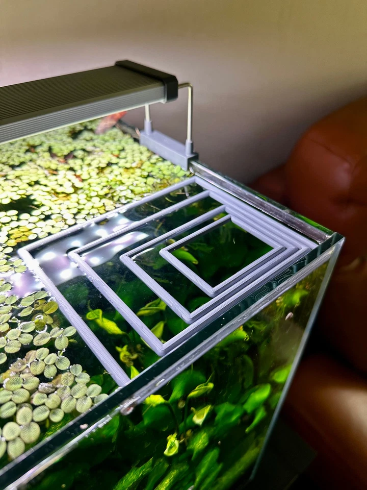 Schwimmender Aquarienring in Rechteckform | Pflanzen- & Futterring fürs Aquarium - Bild 1 von 4