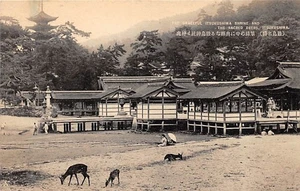 SACRED DEER & ITSUKUSHIMA SHRINE CHUGOKU JAPAN POSTCARD c.1920'S - Picture 1 of 2