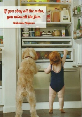 LEANIN’ TREE Happy Birthday Card - If You Obey All the Rules You Miss All the Fun