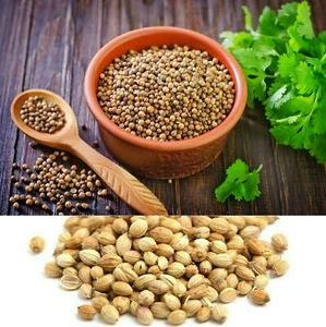 Ceylon Coriander Koththamalli Pure Whole Seeds Spices Organic Herbal Drink 100g - Picture 1 of 4