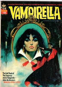 VAMPIRELLA #18 A WARREN MAGAZINE JUG 1972 - Picture 1 of 2