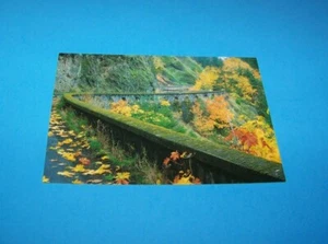 Old Columbia River Highway Columbia River Gorge Postcard - Imagen 1 de 2