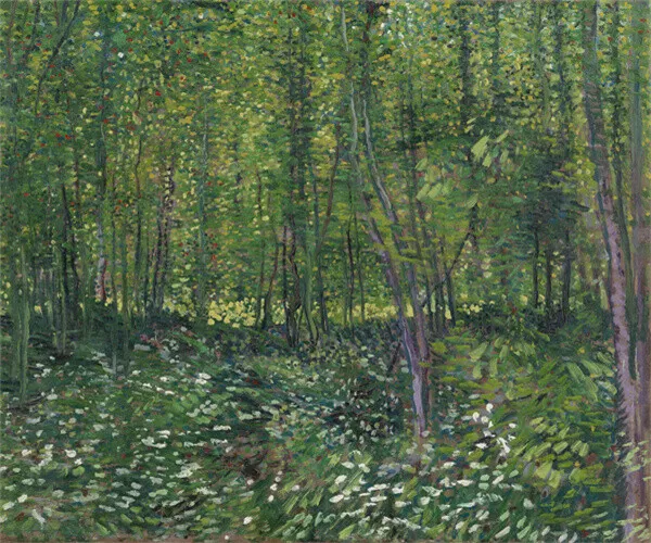 van gogh oil painting Canvas Print -Undergrowth