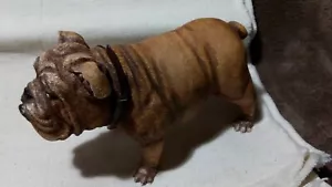 1/6 DRAGON IN DREAMS DRAGON WW II PAINTED COMPANY BULLDOG DOG - Imagen 1 de 10