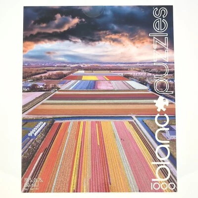 Rompecabezas Blanc Buffalo Games Infinity Fields of the Netherlands 1000 piezas Foto 1 de 4