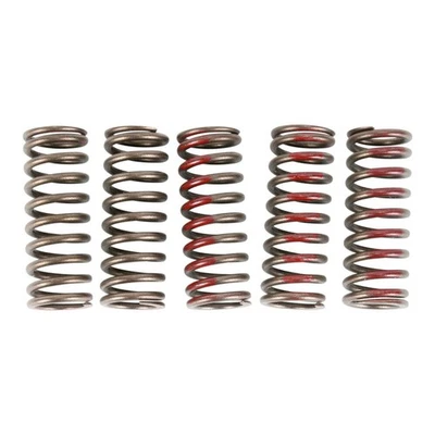 Juego de muelles de embrague Pro Circuit SPRINGS CLUTCH CRF250R Foto 1 de 4