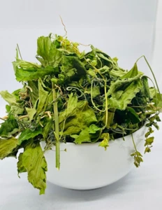 Indian nettle, Kuppameni (Acalypha indica) Dehydrated WHOLE HERB 3.5oz 100g - Picture 1 of 6