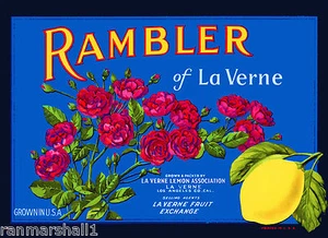 Rambler of La Verne Lordsburg Los Angeles Lemon Citrus Fruit Crate Label Print - Picture 1 of 1