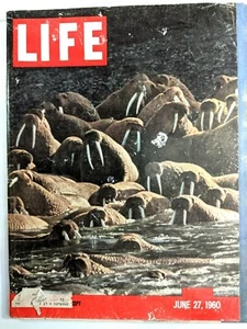 LIFE Magazine VTG June 27 1960 RARE Sample Copy Walrus Alaska Tokyo Conflict War - Picture 1 of 9