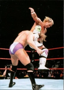 Tarjeta de lucha libre SmackDown 1999 imágenes cómicas WWF #10 Mr. Ass Billy Gunn - Imagen 1 de 2