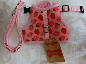 NWT Medium BINGPET Escape Proof Cat Kitten Small Dog Harness and Lead Set - Picture 1 of 9