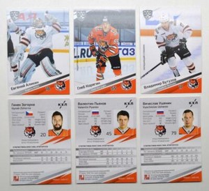 2020-21 Sereal KHL Base Amur Khabarovsk Pick a Player Card