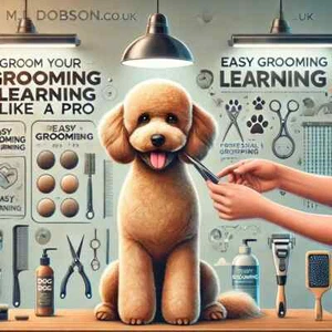 Toelettatura cane il tuo cane LIKE A PRO EASY TOELETTATURA AIUTO APPRENDIMENTO spedizione in tutto il mondo - Foto 1 di 6
