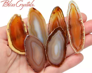 1 Large Fancy GOLD AGATE Slab Slice (1.5" - 1.9) #SR55 - Picture 1 of 3