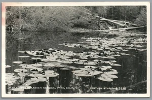 RPPC Postcard Lassen National Park CA Lily Pond Eastman Studio Unposted - Picture 1 of 3