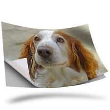 1 x Vinyl Sticker A3 - Welsh Springer Spaniel Dog Puppy #16838