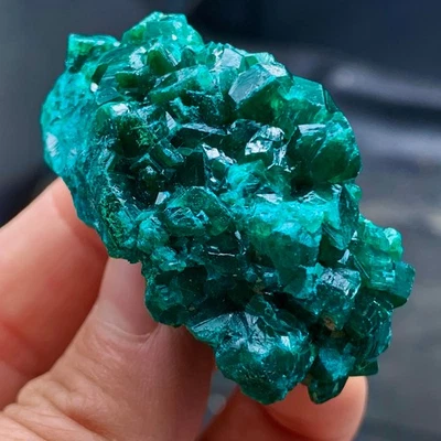45G Natural green dioptase emerandine gemstone cluster mineral specimen - Image 1 of 4