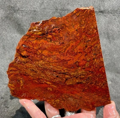 Cady Mountain Agate Jasper Slab - California! - Image 1 of 2
