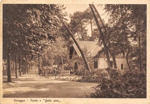 A1093) VIAREGGIO PINETA GATTO NERO VIAGGIATA LUCCA  - Bild 1 von 2