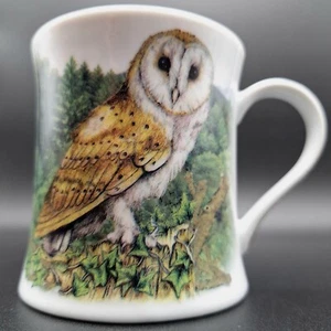 The Leonardo Collection - Barn Owl - Birds - Fine Bone China Mug - Picture 1 of 3