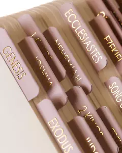 Bible Tabs, Embossed Matte Gold, Laminated, Old & New Testament Labels - Picture 1 of 12