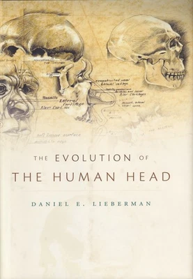 Evolution of the Human Head by Lieberman, 756pp - Image 1 of 2