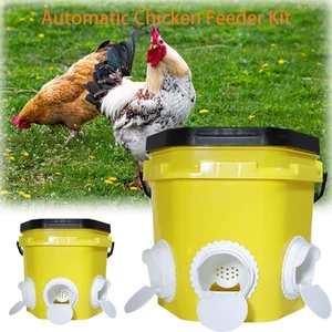 Chicken feeder Automatic Chicken Feeder Kit 12L/10L - Picture 1 of 10