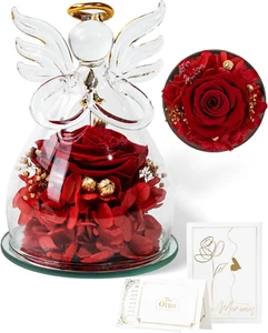 BRAND NEW / UNOPENED Mothers Day Gift Preserved Flower Rose Gift in Glass - Picture 1 of 11