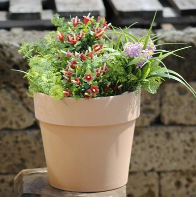 KLOCKE Tontöpfe,Pflanztöpfe,Anzuchttöpfe,Terracotta antik hell,5 Größen,deutsche Ware