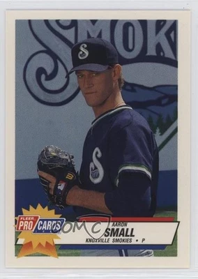 1993 Fleer ProCards Minor League Aaron Small #1251 Rookie RC - Image 1 of 2