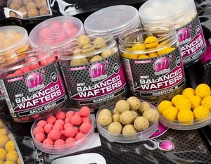 Mainline High Impact Balanced Wafters 12/15/18mm / Carp Fishing Hookbait - Picture 1 of 9