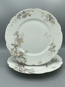 Limoges H&Co, 9.5â€� Plates, Total 2 ~ Fall Oak Leaves and Chrysanthemums