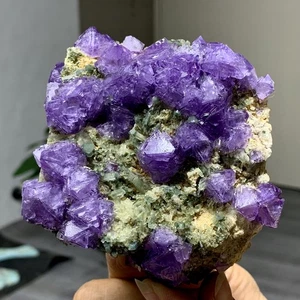 431G Rare purple cubic fluorite white crystal clusters paragenesis/China - Picture 1 of 24