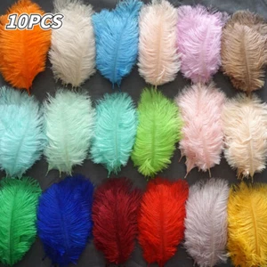 10pcs Coloré Autruche Plumes Matériel Fête Mariage Accessoires DIY - Photo 1 sur 21