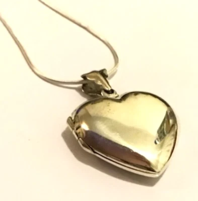 Medallón y cadena lisa de plata esterlina con corazón de amor foto familiar Foto 1 de 2