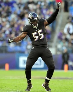TERRELL SUGGS 8X10 PHOTO BALTIMORE RAVENS PICTURE NFL - Picture 1 of 1