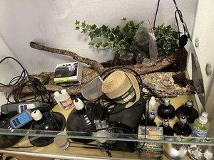 Terrarium + Zubehör Komplett, Auch Einzeln Erhältlich! - Bild 1 von 13