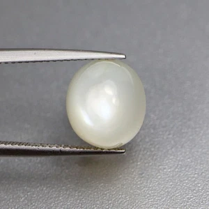 6.19 Cts Excellent VS Oval Cab Natural Moonstone Gemstone - Picture 1 of 5