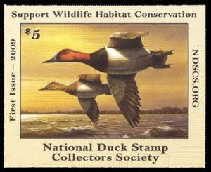 NDS1 — 2009 National Duck Stamp Collectors Society - Picture 1 of 1