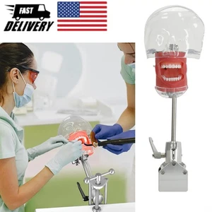 Dental Phantom Head w/ 32 Typodont Teeth Model Typodont Mount Fixed on Table - Picture 1 of 9