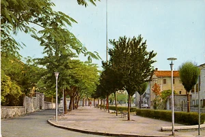 ve 443 - 1978 QUINTO DI VALPANTENA (Verona) - VG - Ed. VITOVE - Imagen 1 de 1