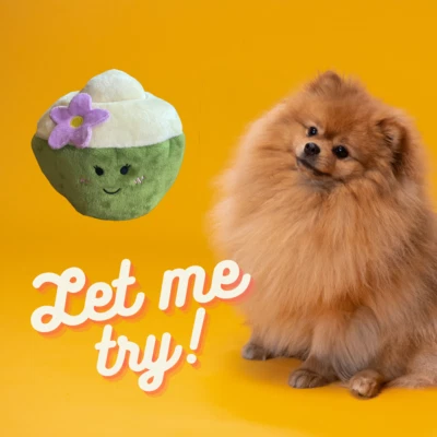 Cute Interactive Treat Hiding Toy - Coconut Plushie Hide and Seek Puzzle for Dog - Image 1 of 4