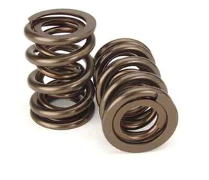 Kit de doble resorte Nissan TB42 Performance - Imagen 1 de 1