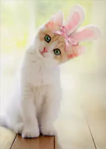 Easter Greeting Card - Kitten with Bunny Ears - Picture 1 of 2
