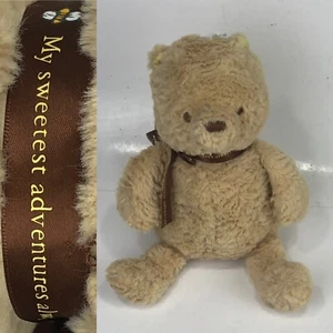 Disney Baby 2017 Pooh Plush My Sweetest Adventures Brown Tan Squishy Soft Lovey - Picture 1 of 10