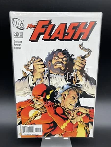 The Flash 2nd Series Issue 229 February 229 DC Comics Direct Sales Cavalieri - Picture 1 of 5