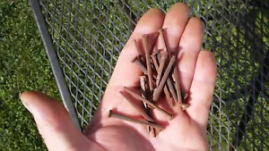 Uñas cuadradas antiguas 1,75 pulgadas Nueva Inglaterra 50+ - Imagen 1 de 4