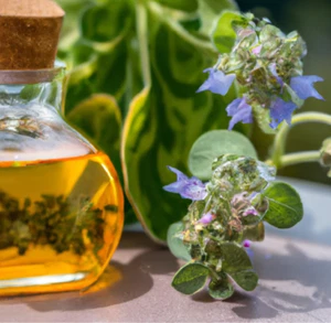 Pure OIL OF OREGANO/Black Seed SOFT GELS~4500MG PER 2 SOFTGELS (60) - Ship Free! - Picture 1 of 7